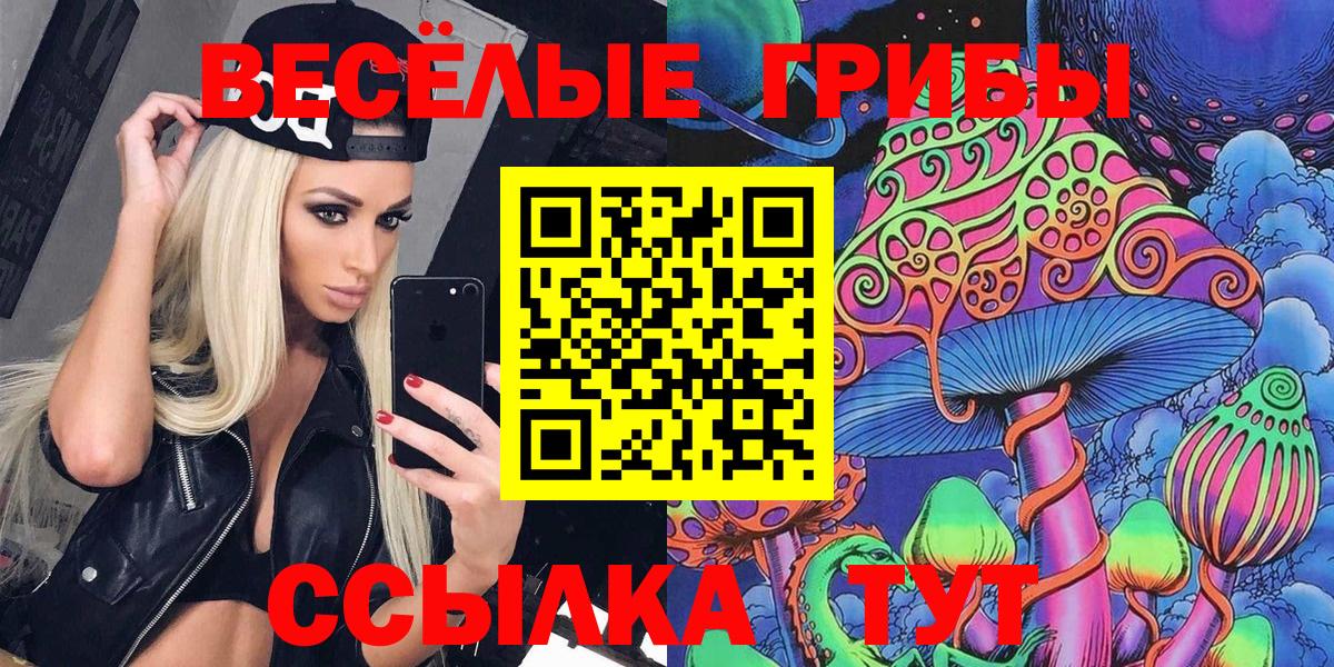 Уварово  Галлюциногенные грибы Psilocybine cubensis  Вход с VPN 