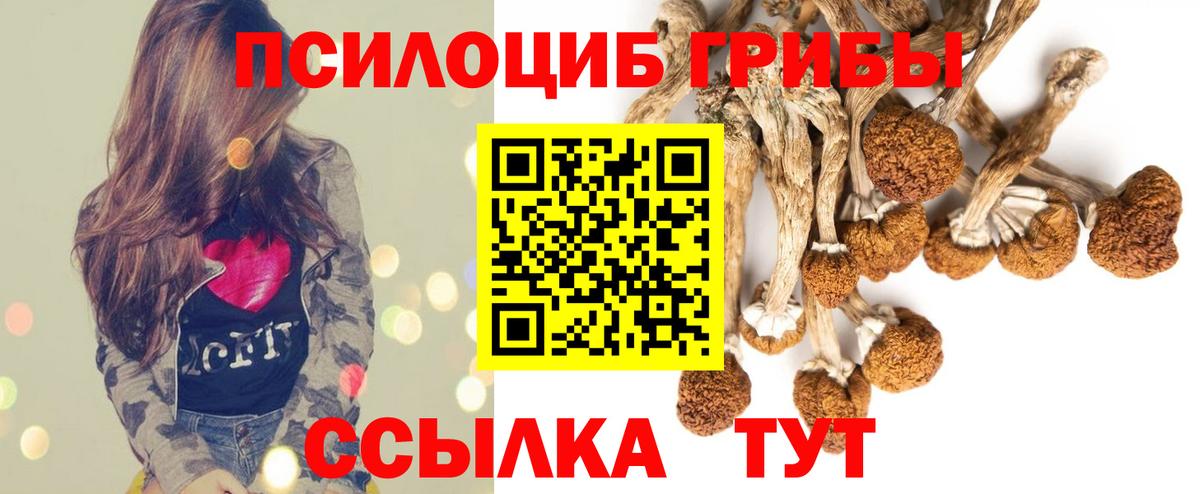 Галлюциногенные грибы мицелий Уварово